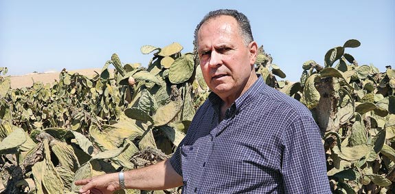נועם בלום / צלם: איל יצהר